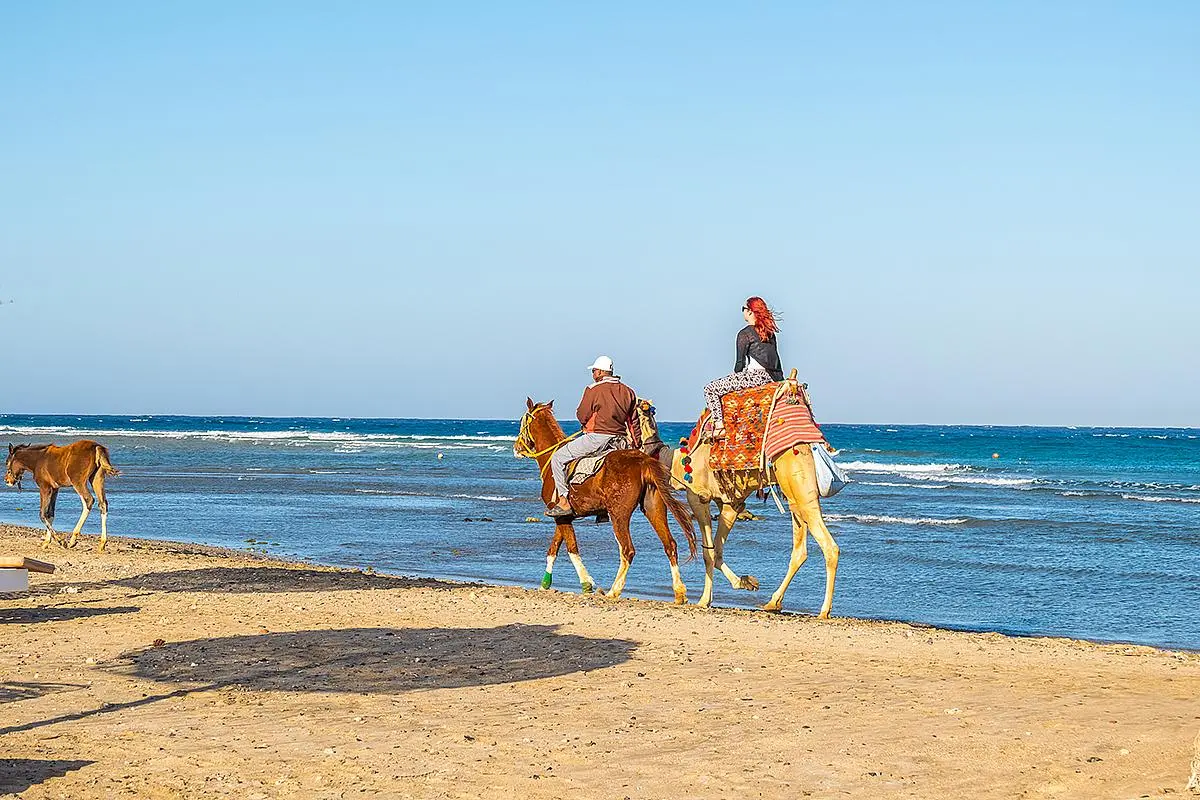 Wadi el Gemal National Park Tour – Marsa Alam